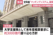 文部科学省「全国にある私立大学の約半数が定員割れしてます！私立大学を助ける為に３０００億円かけてマッチングシステム開発します」