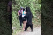 【悲報】クマさん、女性に興奮してしまうｗｗｗｗｗｗｗｗｗｗｗｗｗｗ