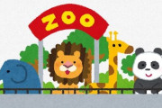 「ノースサファリの行き場を失った動物たちを札幌市円山動物園で引き取って！」との声も、市の担当者「安易に受け入れることはできない」