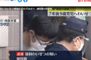 【悲報】韓国人「日本の警察が韓国国籍の男を逮捕！」7年前に小学生の男の子にわいせつ行為をした韓国人、日本で逮捕　韓国の反応