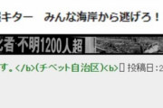 【画像】3.11直後の2ch民「津波の高さって大げさに発表されるよね」「普通に橋を車が渡ってる。しょーもな」