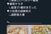 【にじさんじ】センス、なし? 冷凍食品でも買ってこいよ無能が！??