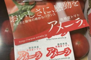 ワイ上級トマト｢アメーラ｣を買う！！！