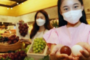 韓国人「韓国が世界一高いブドウを単独販売へ！」韓国産のピンポン玉ほど巨大な「ルビーロマン」と「ジュエルマスカット」を販売予定　韓国の反応