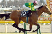 良血馬サトノジェネシス4戦3勝で引退、優駿SSで種牡馬入り