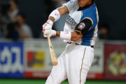 日ハムの元稲葉ってどんな選手やったんや？