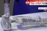 【朗報】あの宇宙人、ガチの本物