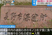 「お腹が空いていた」 仕事帰りに道路脇のキノコを採って夕食にした男性が食中毒