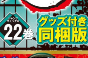 漫画「鬼滅の刃」22巻＆23巻特装版予約開始！缶バッジセット、フィギュアなど用意