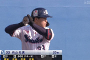 ヤクルト・内山、4打数4安打2本塁打7打点の大暴れ！
