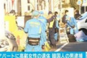 【在日韓国人犯罪】 高齢女性の頭や顔を鈍器で殴り、粉砕骨折による出血で殺害した韓国籍の男を逮捕／神奈川・川崎