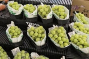 スーパーの客「シャインマスカットの値札を100gあたりの値段で書くのやめろ！」
