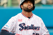 【悲報】ヤクルトスワローズさん、最下位独走も話題にならない