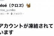 【悲報】立憲民主党支持者のツイッターアカウントが次々と凍結されている模様　パヨさん激怒