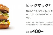 【悲報】マクドナルド、ビッグマックを超えるバーガーが出せない…