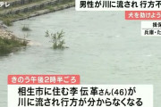 【悲報】犬が川に飛び込みそれを助けようと川に飛び込んだ男、行方不明ｗｗｗ