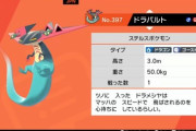 【ネタ？】第8世代ポケモンの結論パが完成する