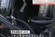 「ネコよけようと」大型トラックが電柱衝突　男性軽傷