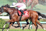 モリアーナは武藤雅と再コンビで中山牝馬Sへ