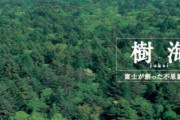 【悲報】知らなかった「富士の樹海」ってこんなに闇が深かったのかよ 「テレビの企画で清掃に参加したら・・・」