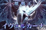 【モンハン】王カーナそんなにガンナー潰しだったん？