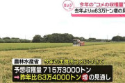 【コメ】コメ増産　収穫量過去最大　なぜ価格は高止まり