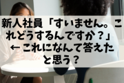 新人社員「すいません。これどうするんですか？」ぼく「(´Д｀)ﾊｧ…」