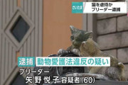 ネコ180匹を劣悪な環境で飼育していたブリーダーの女を逮捕