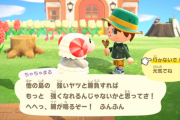 あつまれどうぶつの森 住民の引っ越しや出て行く条件がデータ解析で判明