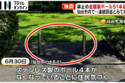 【独自】仙台市の公園で車止めポール大量盗難　少なくとも51本被害
