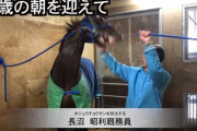 ●メイショウダッサイ引退