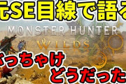 元SE「モンハンワイルズをエンジニア目線で語ると『売り物として成立する品質に達していない』「ありえないレベルのバグが大量にある』『内容を評価する以前の問題』」