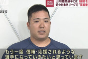 ソフトバンクと西武ファン以外は山川騒動をどのように思ってるの？
