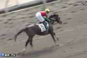【競馬】マイネルクラース強すぎワロタｗｗｗｗｗｗ【動画あり】