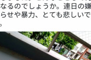 辻元清美｢生卵を投げつけられました。とても悲しいです｣