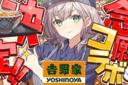 【ホロライブ】白銀ノエルと吉野家のコラボ　海苔(85円)が大人気メニューになるｗｗｗｗｗｗｗｗｗｗｗ