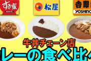 松屋初心者「カレーやろ」中級者「カレーやろ」上級者「(´Д｀)ﾊｧ…」