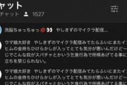【にじさんじ】連投荒らし訴訟するって言ったばっかなのにこれとか無敵の人かよ…