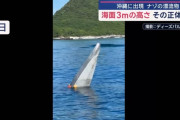 謎の漂流物が沖縄の海上に…これは何？！