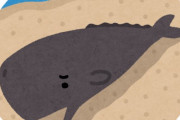 クジラって陸に打ち上げられた時「ここ呼吸し放題じゃん」とか思わないの？