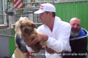 アメリカの動物保護団体がホームレスから子犬を奪った際の動画が拡散され無事炎上