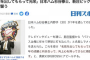 【悲報】日刊スポーツ、「杉谷ビッグボスに反論」記事を改編してしまう