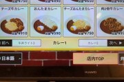 【画像】今から「すき家」のカレー食う 人生初