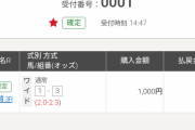 【画像】ワイ、初めての競馬でテキトーに1000円賭けた結果ｗｗｗｗｗｗｗｗ