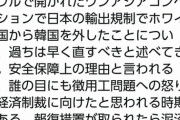 鳩山由紀夫「ホワイト除外は間違った事だと韓国で言ってきた」