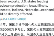 【悲報】中国「アメリカから大豆輸入するのやめるわ」トランプ「頼む！考え直してくれ！」