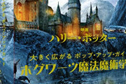 なんJ民ってホグワーツ入ったら闇の魔術に傾倒してそうだよな