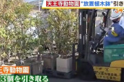 大阪・路上に放置されていた植木鉢103個、天王寺動物園が引き取る 「ええな、ほしいなと思ってたんです」