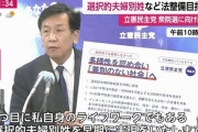 【ｗ】立憲民主党 公約第二弾　#政権取ってこれをやる「同性婚、ＬＧＢＴ、国内人権機関を設置し差別に対応、多文化共生、難民認定制度改善・・・