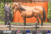 【セレクトセール2025】シンプリーグロリアスの2025(父キタサンブラック)が5億円で落札　他